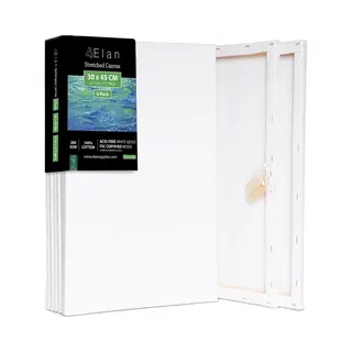 Elan Canvasdoeken 30x45 - 6 Stuks 100% Katoen - Voor Schilderen - Pre Primed