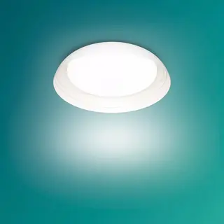 Philips by Signify Philips Ceiling Light 10 W