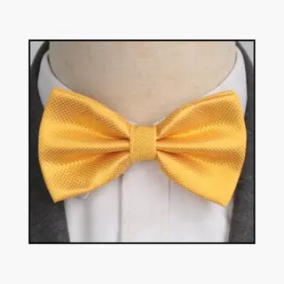 Vlinderdas | Vlinder Strik | Bow Tie | Voor Volwassenen | Voorgestrikt | Strik | Geruit| Geel
