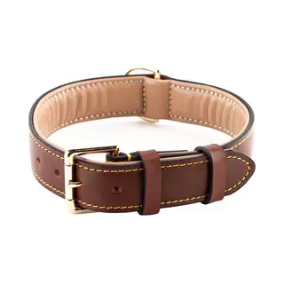 Brute Strength Leather Dog Collar - Brown - Xxl - 66-73 Cm