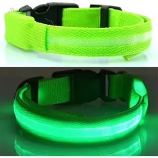 New Age Devi - Lichtgevende Halsband Voor Honden - Led-verlichting - Puppyhalsband - Groen - Maat Xs