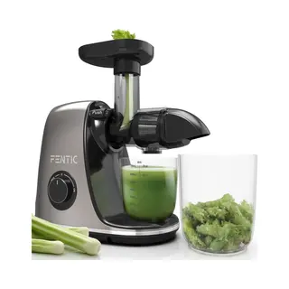 Fentic Slow Juicer – Entsafter Gemüse Und Obst – Horizontale Saftpresse Elektrisch Mit Rückwärts-Funktion – Leiser Und Leistungsstarker Motor