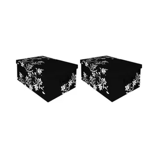 Storage solutions 2x Opbergboxen/Opbergdozen Zwart 52 X 38 Cm - Bewaardozen