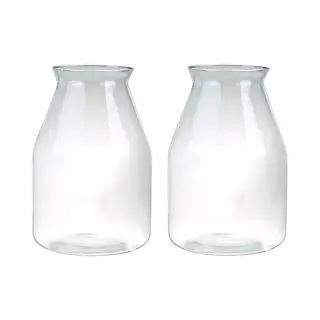 Bellatio Flowers & Plants Set Van 2x Stuks Glazen Ronde Bloemenvazen 35 X 24 Cm - Transparant - Vazen/vaas - Boeketvazen