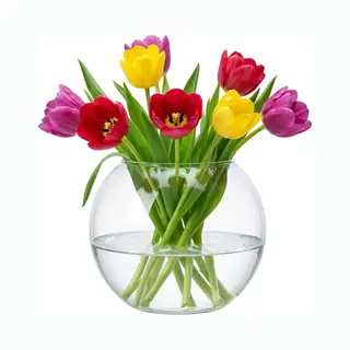 Hakbijl Glass Bloemenvaas/terrarium Bolvormig - D30 X H23 Cm - Glas - 6L - Transparant - Rond Model