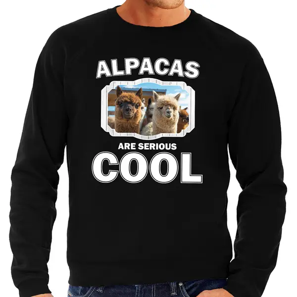Bellatio Decorations Dieren Alpacas Sweater Zwart Heren - Alpacas Are Serious Cool Trui - Cadeau Sweater Alpaca/ Alpacas Liefhebber Xxl thumbnail