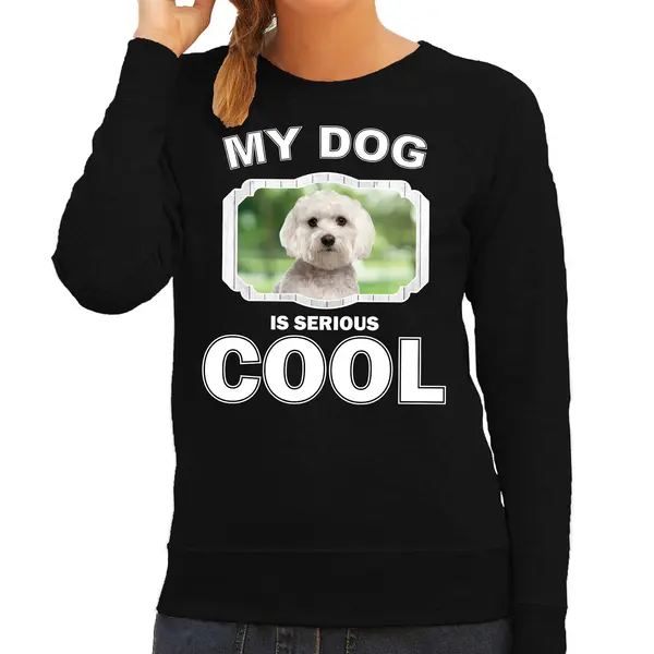 Bellatio Decorations Maltezer Honden Trui / Sweater My Dog Is Serious Cool Zwart - Dames - Maltezers Liefhebber Cadeau Sweaters L thumbnail