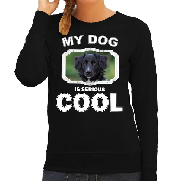 Bellatio Decorations Friese Stabij Honden Trui / Sweater My Dog Is Serious Cool Zwart - Dames - Friese Stabijs Liefhebber Cadeau Sweaters M thumbnail