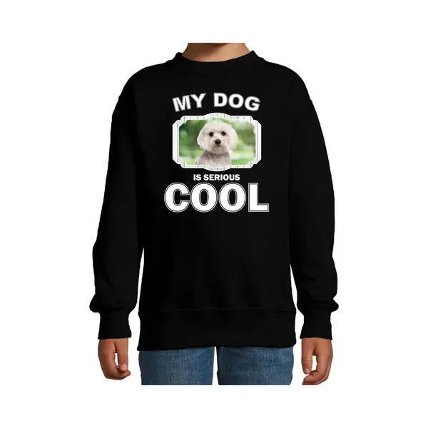 Bellatio Decorations Maltezer Honden Trui / Sweater My Dog Is Serious Cool Zwart - Kinderen - Maltezers Liefhebber Cadeau Sweaters - Kinderkleding / Kleding 134/146 thumbnail