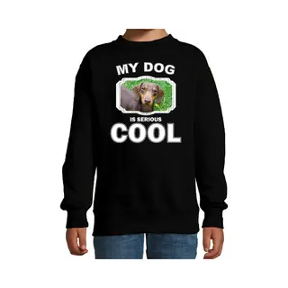 Bellatio Decorations Teckel Honden Trui / Sweater My Dog Is Serious Cool Zwart - Kinderen - Teckels Liefhebber Cadeau Sweaters - Kinderkleding / Kleding 134/146