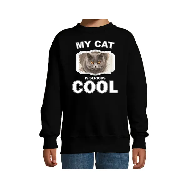 Bellatio Decorations Britse Korthaar Katten Trui / Sweater My Cat Is Serious Cool Zwart - Kinderen - Katten / Poezen Liefhebber Cadeau Sweaters - Kinderkleding / Kleding thumbnail