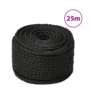 VidaXL Werktouw 10 Mm 25 M Polypropeen Zwart