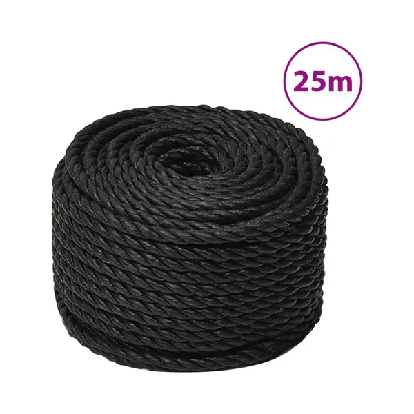 VidaXL Werktouw 10 Mm 25 M Polypropeen Zwart thumbnail
