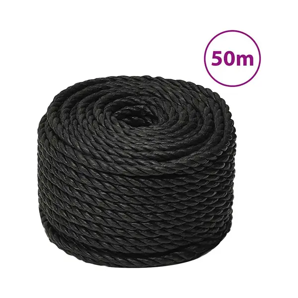 VidaXL Arbeitsseil Bodenarbeitsseil Arbeitsleine Mehrzweckleine Seil Bootsleine Allzweckseil Schnur Tau Leine Gedreht Schwarz 10mm 50m Polypropylen thumbnail