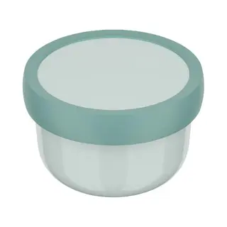Mepal - Fruitbox Campus - Snack Box For Kids - Dishwasher And Microwave Safe - Bpa-free - 300 Ml - Cool Mint