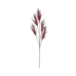 House Of Seasons Pluimgras Losse Steel/tak - Meerdere Stengels - Bordeaux Rood - 98 Cm - Decoratie Kunst Bloemen