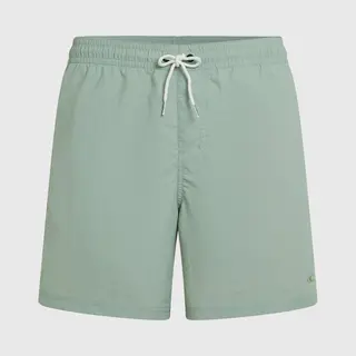 O'Neill Zwemshorts 'Vert' Pastelgroen