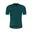 Donkerblauwgroen