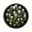 Groen, Salie groen, Saliegroen