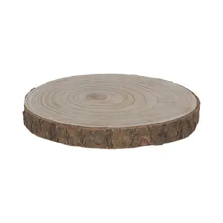 Cosy&Trendy Woondecoratie Houten Boomschijf 28 X 3 Cm