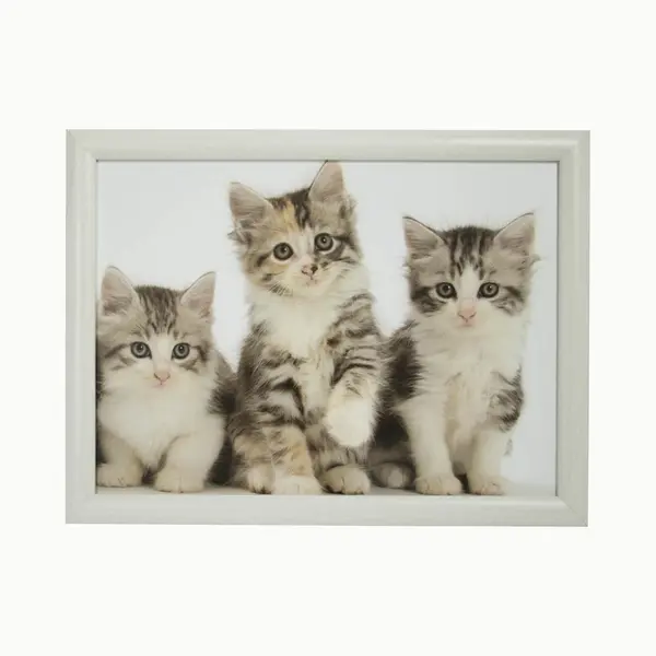 Mars & More Schoottafel - 2x - Katten/poezen Print - 43 X 32 Cm - Laptray - Schootkussen - Schootblad - Kat/poes Dieren Artikelen - Dienblad thumbnail