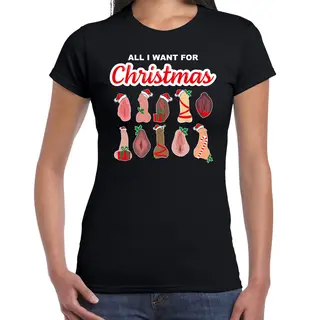 Bellatio Decorations Foute Kersttrui/t-shirt Dames - All I Want For Christmas - Piemel/vagina -zwart L