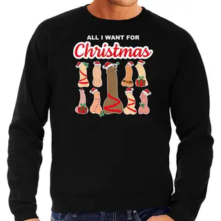Bellatio Decorations Foute Kersttrui/sweater Voor Heren - All I Want For Christmas - Piemels - Zwart M