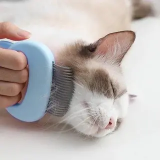 Kattenkam - Kattenborstel - Hondenkam - Hondenborstel - Luizenkam - Haarverwijderaar Voor Huisdieren - Huisdier Haar Verwijderaar - Kattenhaar