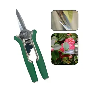 Pd® - Snoeischaar Recht - Extra Scherp! - Bloemenschaar - 15 Cm