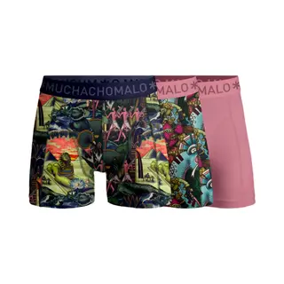 Muchachomalo – Boxershort Heren – Normale Lengte – Onderbroeken Heren – Boxershort – Ondergoed – 95% Katoen – 3 Pack – Maat L