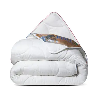 Avenue Bettdecke 240x200 Winterdecke 450gsm - 4 Jahreszeiten 2 Teilig Bettdecken - Inklusive Ganzjahresdecke 240x200 300gsm & Sommerdecke 200x240