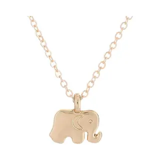 Bixorp Luck Geluksketting Met Olifantje Goudkleurig - Afscheidscadeau - Cadeau Voor Haar / Dames / Vriendin / Mama / Vrouwen - Ketting Met Olifant