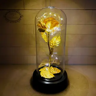 Roses Of Eternity - Gouden Roos In Glazen Stolp Met Led - Cadeau Voor Vrouw, (beste) Vriendin, Haar - Valentijn - Moederdag - Valentijnsdag - Huwelijk