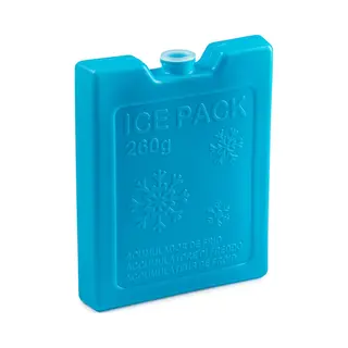 Plasticforte 260 Grams Koelelementen 13 X 10.5 X 2 Cm Blauw Plastic