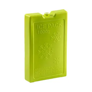 Plasticforte Koelelementen Van 1000 Gram - Groen - 22 X 14.5 X 3.5 Cm - Voor Koeltas En Koelbox