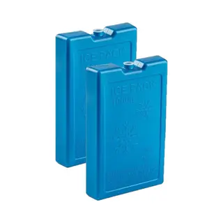 Plasticforte 1000 Grams Koelelementen - 4x Stuks - 22 X 14 X 3 Cm - Blauw - Kunststof - Met Sneeuwvlokken Print - Koeltas - Koelbox