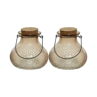 Decoris Wespenvanger/wespenval - Set 2x - Glas - Lichtbruin - D14 X H13 Cm