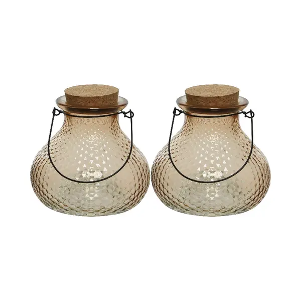Decoris Wespenvanger/wespenval - Set 2x - Glas - Lichtbruin - D14 X H13 Cm thumbnail
