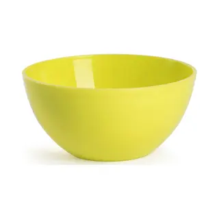 Plasticforte Kommetjes/schaaltjes - Dessert/ontbijt - Kunststof - D17 X H7 Cm - Groen - Bpa Vrij