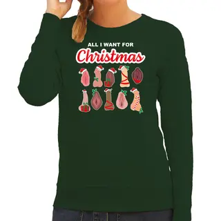 Bellatio Decorations Foute Kersttrui/sweater Dames - All I Want For Christmas - Piemel/vagina -groen Xl