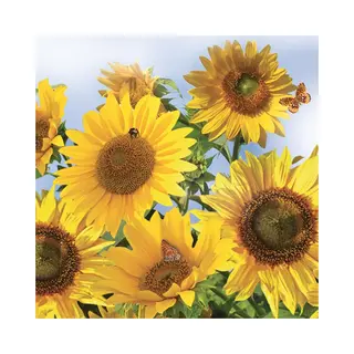 Daisy Lunch/diner Servetten - 40x St - 33 X 33 Cm - Zonnebloemen - Feestservetten