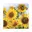 Geel