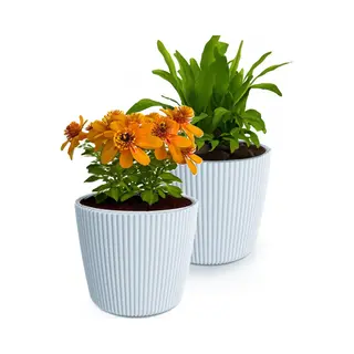 Prosperplast Plantenpot/bloempot Buckingham - 2x - Kunststof - Lichtgrijs - D39 X H34 Cm