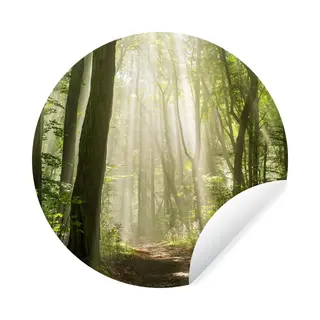 Behangcirkel - Behangcirkel Zelfklevend - Behang Rond - Zon - Licht - Bomen - Behangsticker - ⌀ 30 Cm - Rond Behang - Wanddecoratie Rond