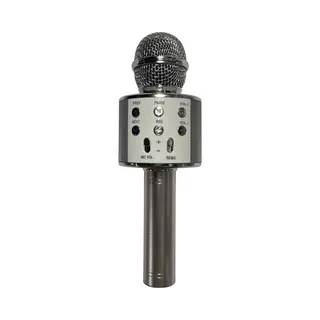 Benson Draadloze Karaoke Microfoon - 4 Uur Gebruik - Stemvervormers - Zilver - 3W Output