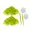 Geel-Groen