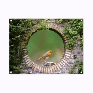 GreatGardenPosters Tuinposter - Tuinschilderij Voor Buiten - Schuttingdoek - Tuin - Roodborstje - Vogel - Natuur - Steen - Schutting Decoratie - Tuinposters -
