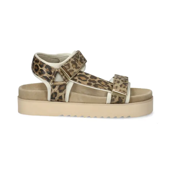 Maruti - Beau Sandalen Bruin - Leopard Brown - 36 thumbnail