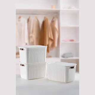 Luxury Bites Aufbewahrungsbox Mit Deckel, 20L-15L -10L Bpa-freie Kunststoff, Nestbar Und Stapelbar (6 Farben, 9 Farbkombiationen, 3er Set)