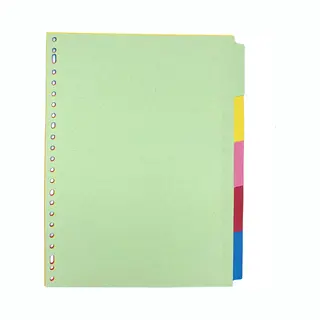 Dula Tabbladen Gekleurd Karton - 5 Tabs - A4 - 23 Gaten - 5 Kleuren